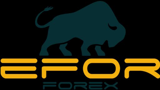 Efor FX